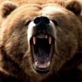 bear monster // 150x150 // 10.2KB
